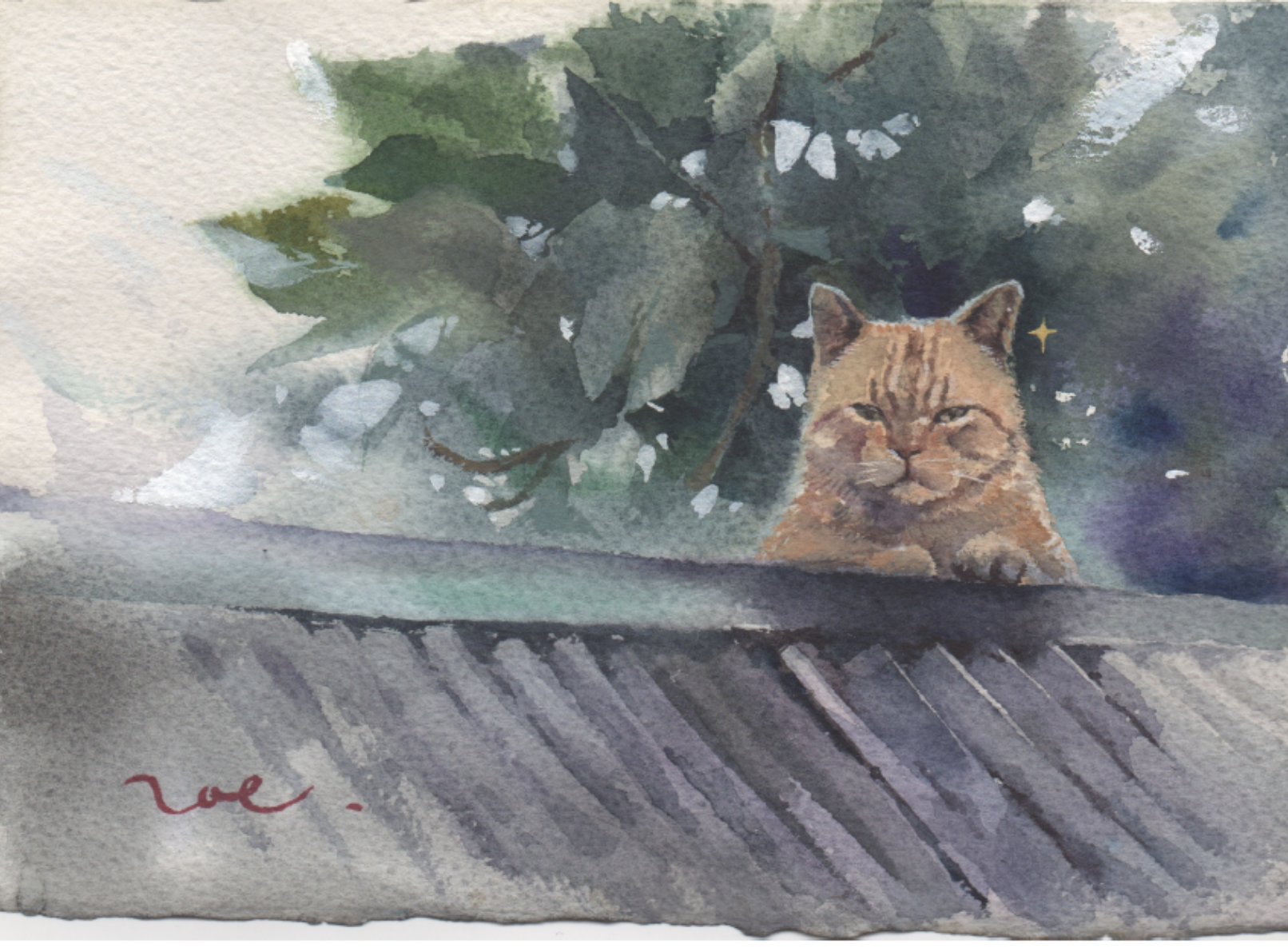 截圖 2025-04-04 晚上7.06.09